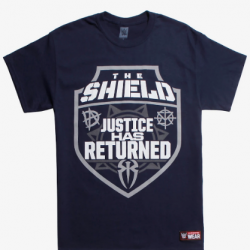 wwe the shield return